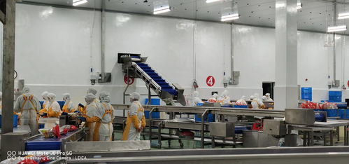 新時期中國物流冷庫項目 庫體保溫 制冷系統設計與設備選擇