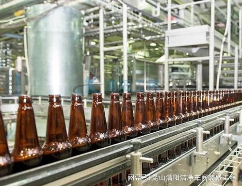 關(guān)于保健食品gmp車間造價(jià)的相關(guān)說明 清陽工程